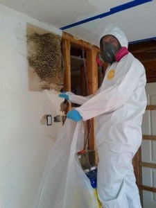 911 Restoration Wall Removal 911 Restoration Wall Removal