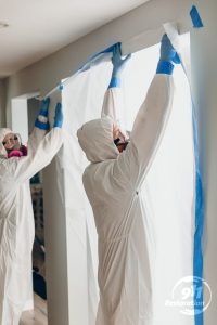 911Restoration professional mold removal kansascitymetro